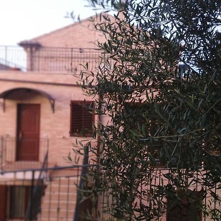 Nonna Caro Hotell Fermo Exteriör bild